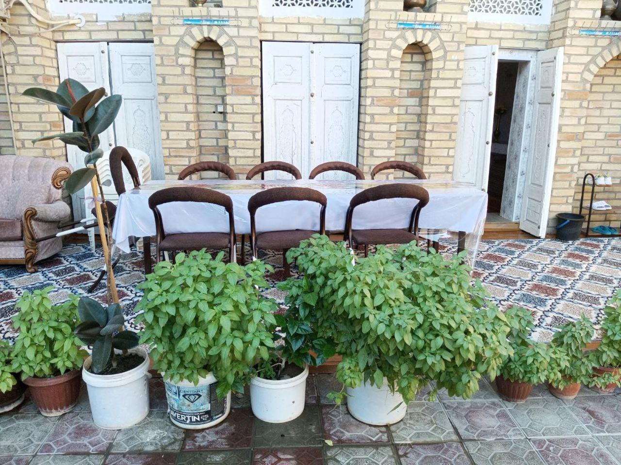 ホテル Sohibqiron Boutique ブハラ エクステリア 写真